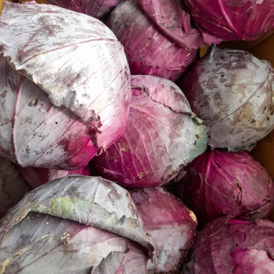 Kupus ljubičasti - kilogram