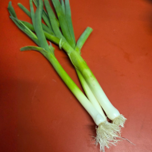 Prasa (vezica) - 300 gr